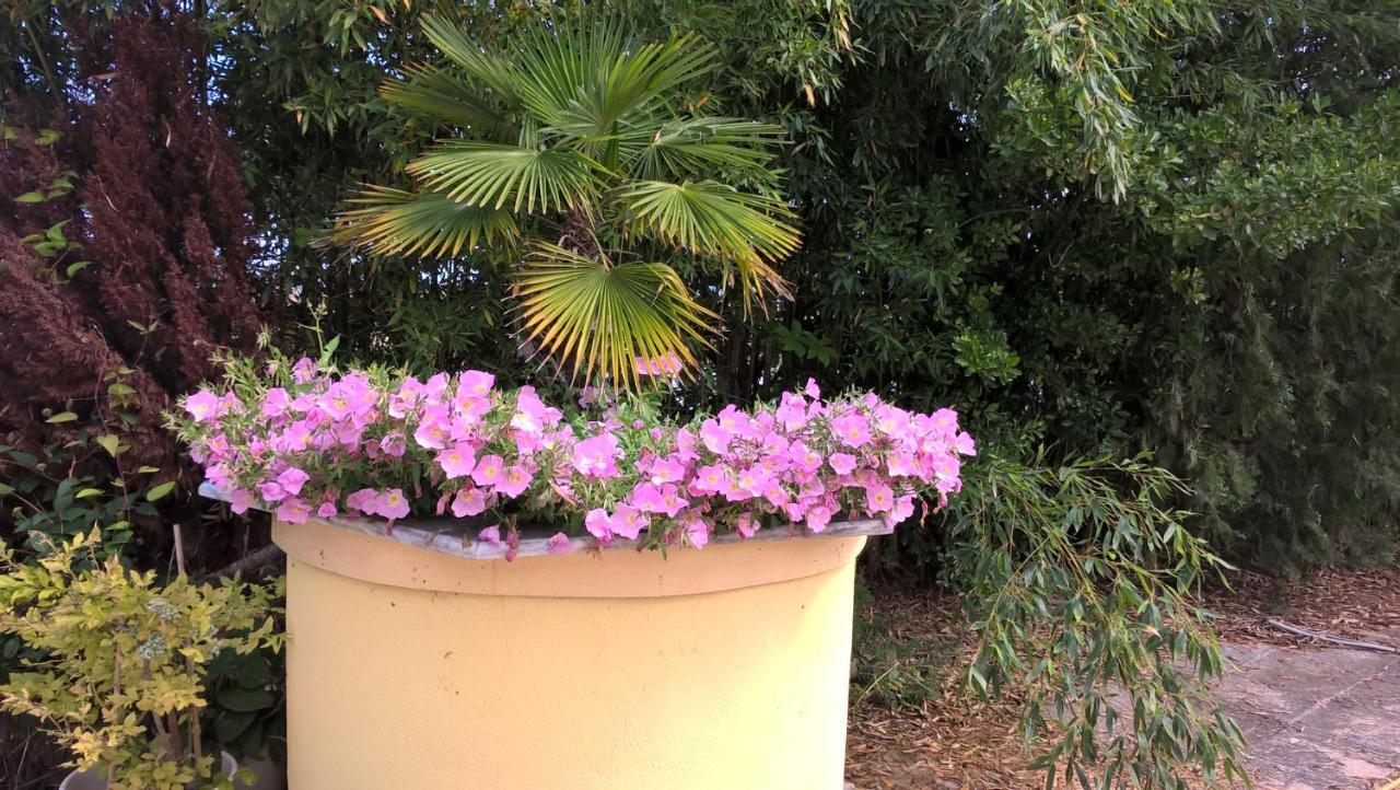 Cavo Paradiso Villa Asprovalta Bagian luar foto